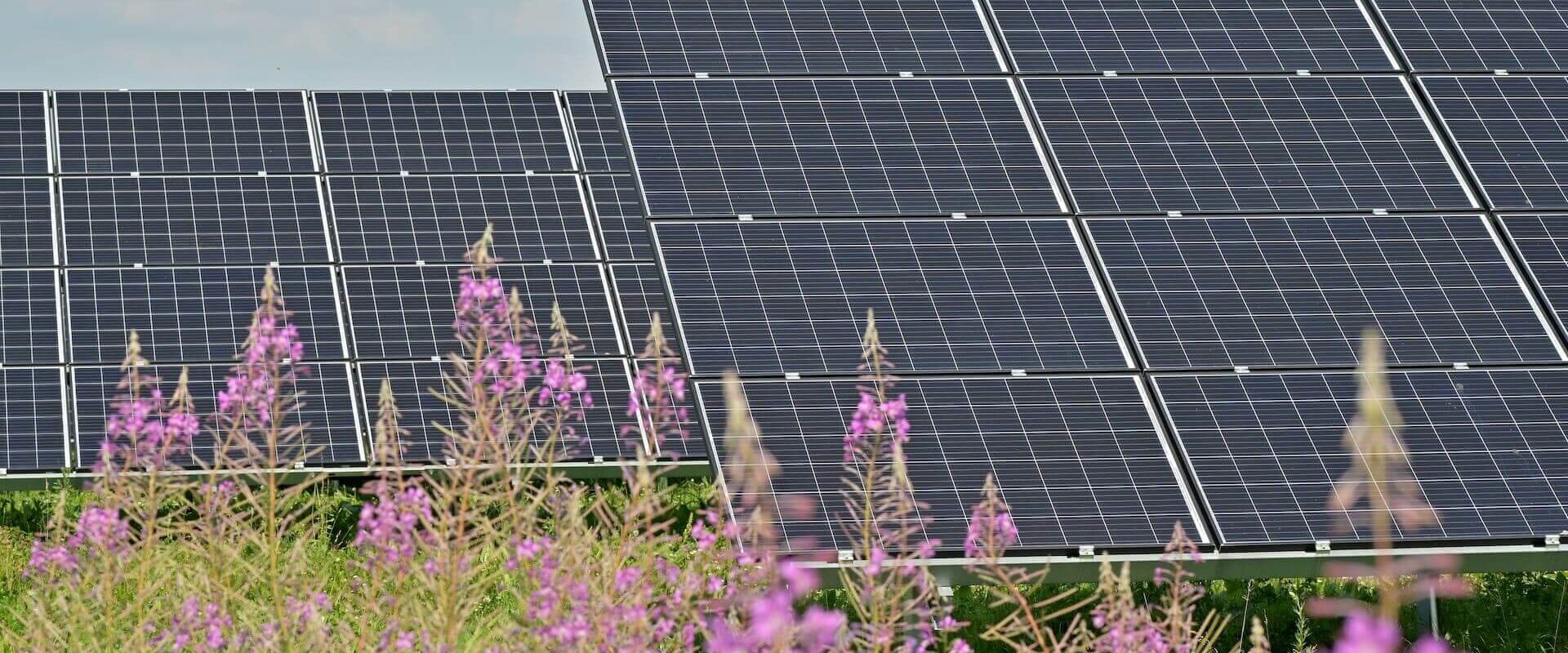 Panel Solar Rosa InstaladorSolar.eu | el directorio del instalador solar